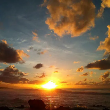 Surfer's Delight Bajamar (La Laguna)